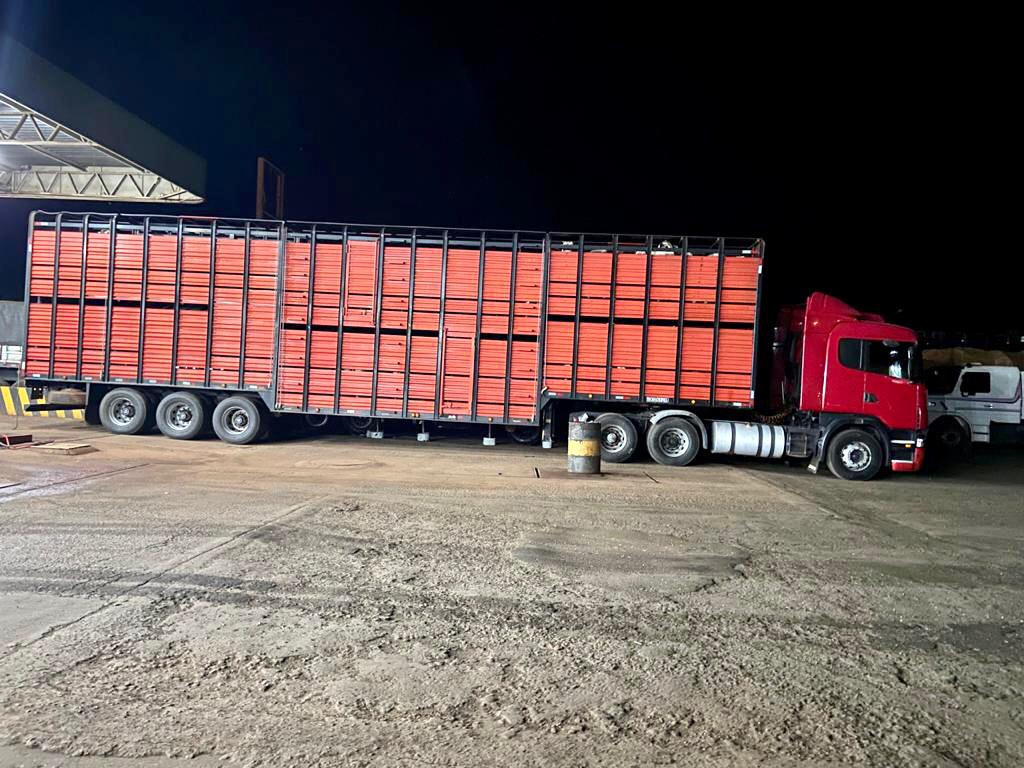 DRF de Rio Verde autua transporte de 273 bovinos com notas fiscais inidôneas