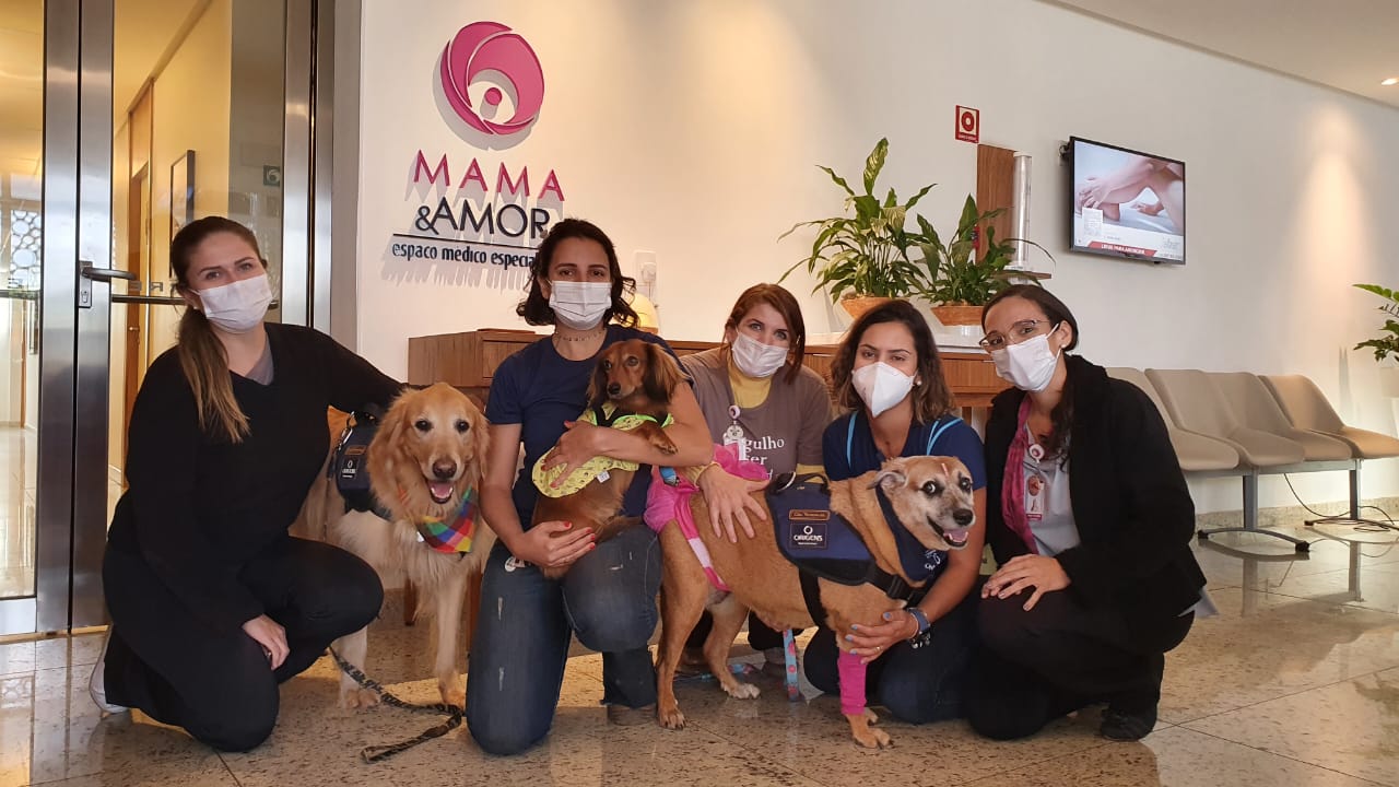 Cães levam alegria a pacientes do INGOH