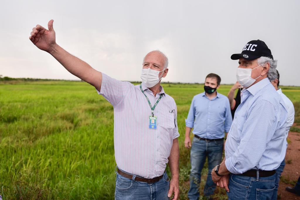 Caiado projeta ampliar produção de arroz no Estado em parceria com União