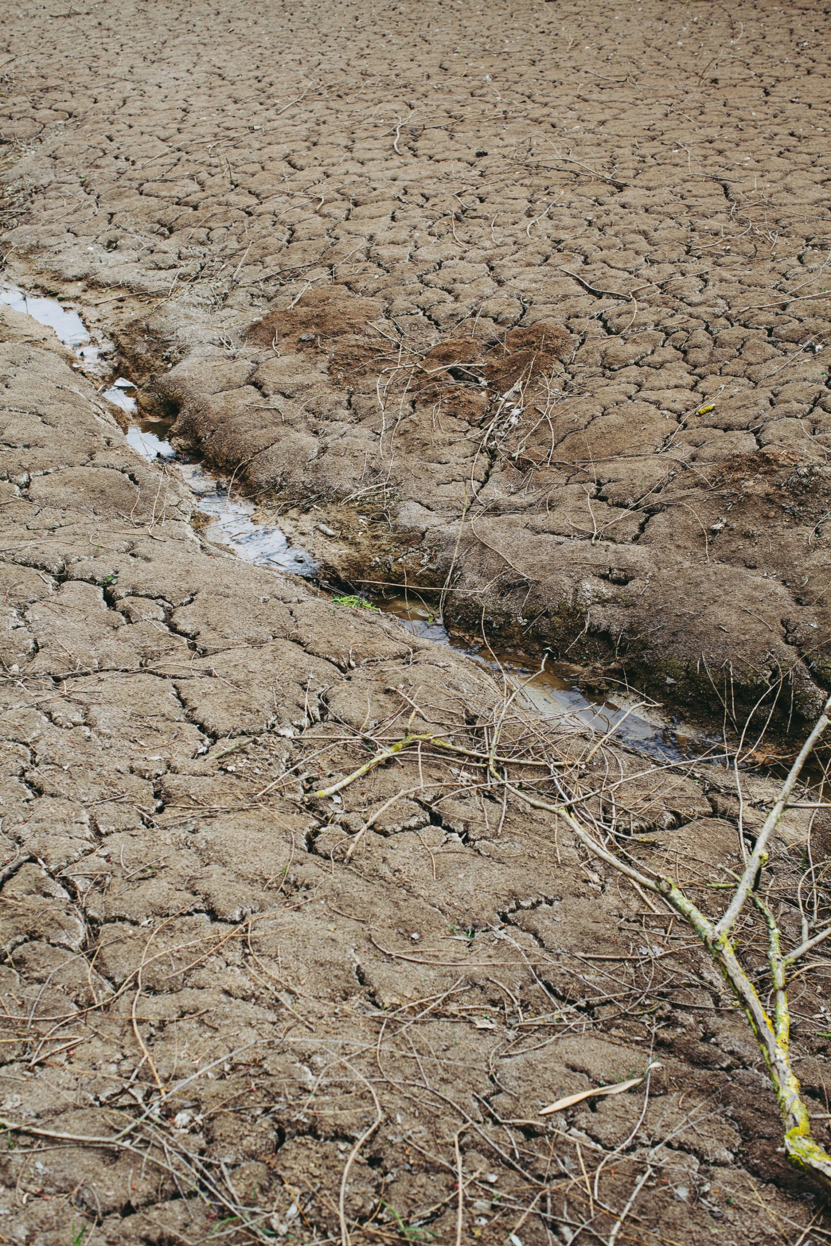 Clima em alerta: os estragos da ação humana no meio ambiente