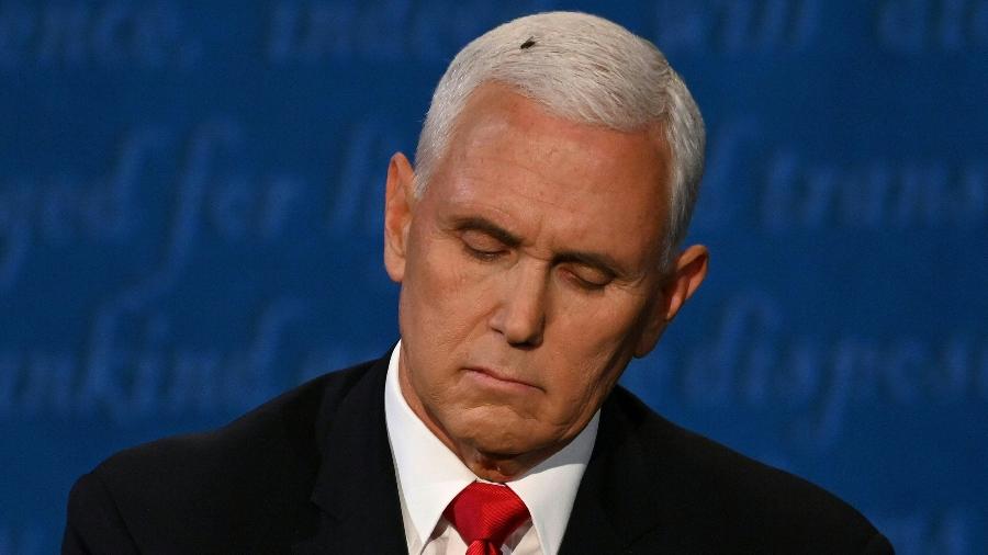 Mosca ganha conta no Twitter após pousar na cabeça do  Republicano Mike Pence