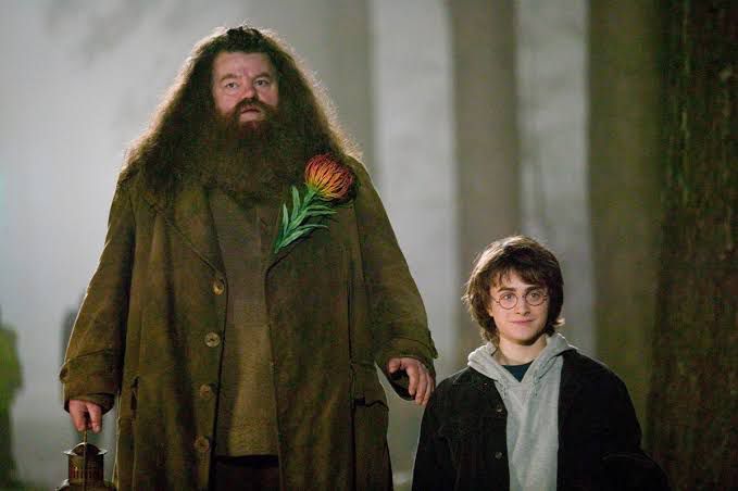 Daniel Radcliffe lamenta morte de Robbie Coltrane, o Hagrid de Harry Potter: "muito triste"