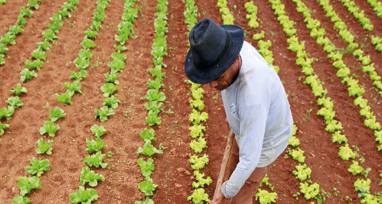 Agricultura familiar será  isenta da contribuição