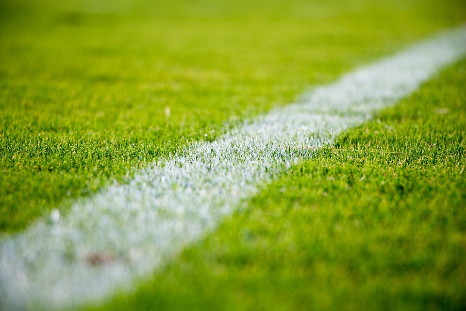 Categorias de base são mina de ouro para o Palmeiras