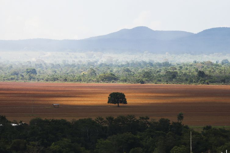 Cerrado pode perder quase 34% da água até 2050