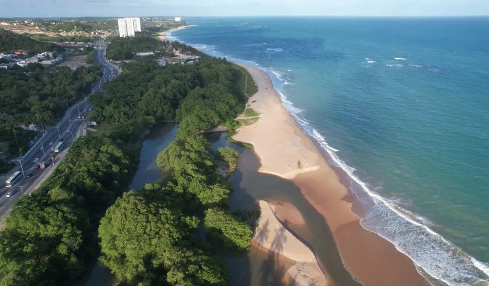 Dia Mundial da Água: Coca-Cola reafirma compromisso com avanços em iniciativas em prol do acesso à água, conservação e segurança hídrica
