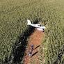 Avião faz pouso forçado em milharal