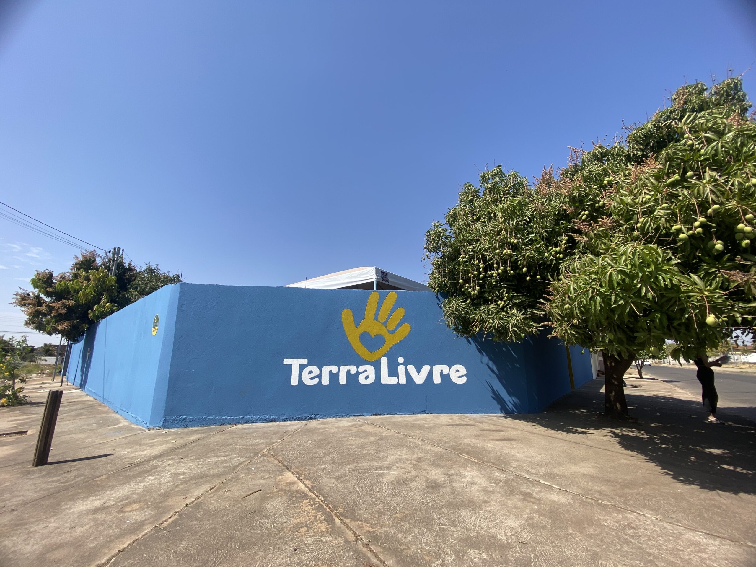 ONG Terra livre é revitalizada por meio de projeto social da EBM