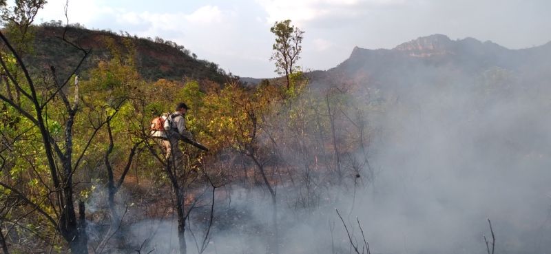 Fogo que atingiu 19% do Parque Terra Ronca é controlado