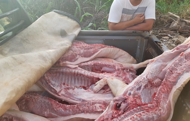 PRF apreende 700 kg de carne suína clandestina em Anápolis