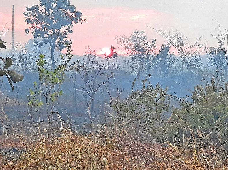 Devastação por incêndios em reserva indígena chega a 90%