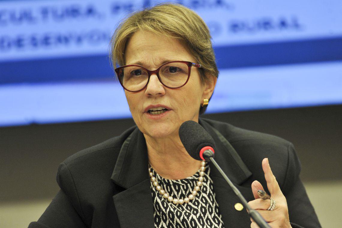 Ministra descarta intervenção e diz que não vai faltar alimento
