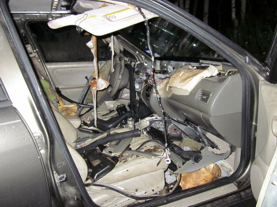 Urso fica preso dentro de carro e destrói todo o interior do veículo nos EUA