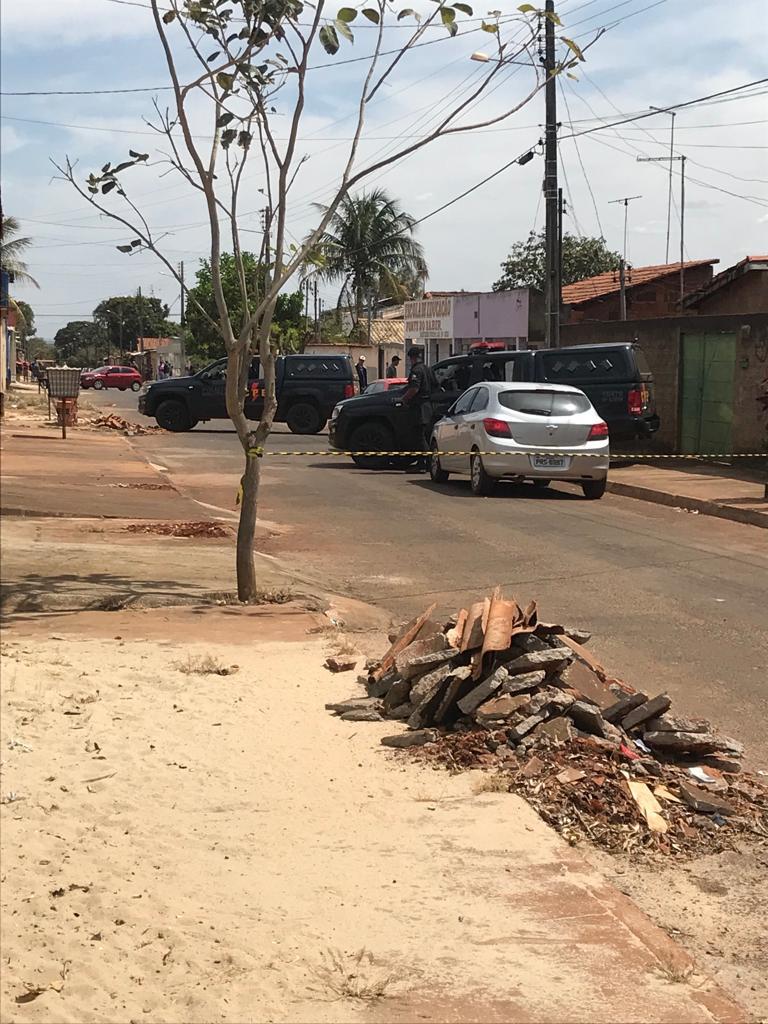 Cães policiais encontram drogas em Trindade