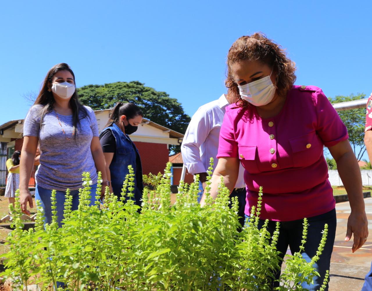 Primeira-dama é convidada a liderar projeto Horta Escolar