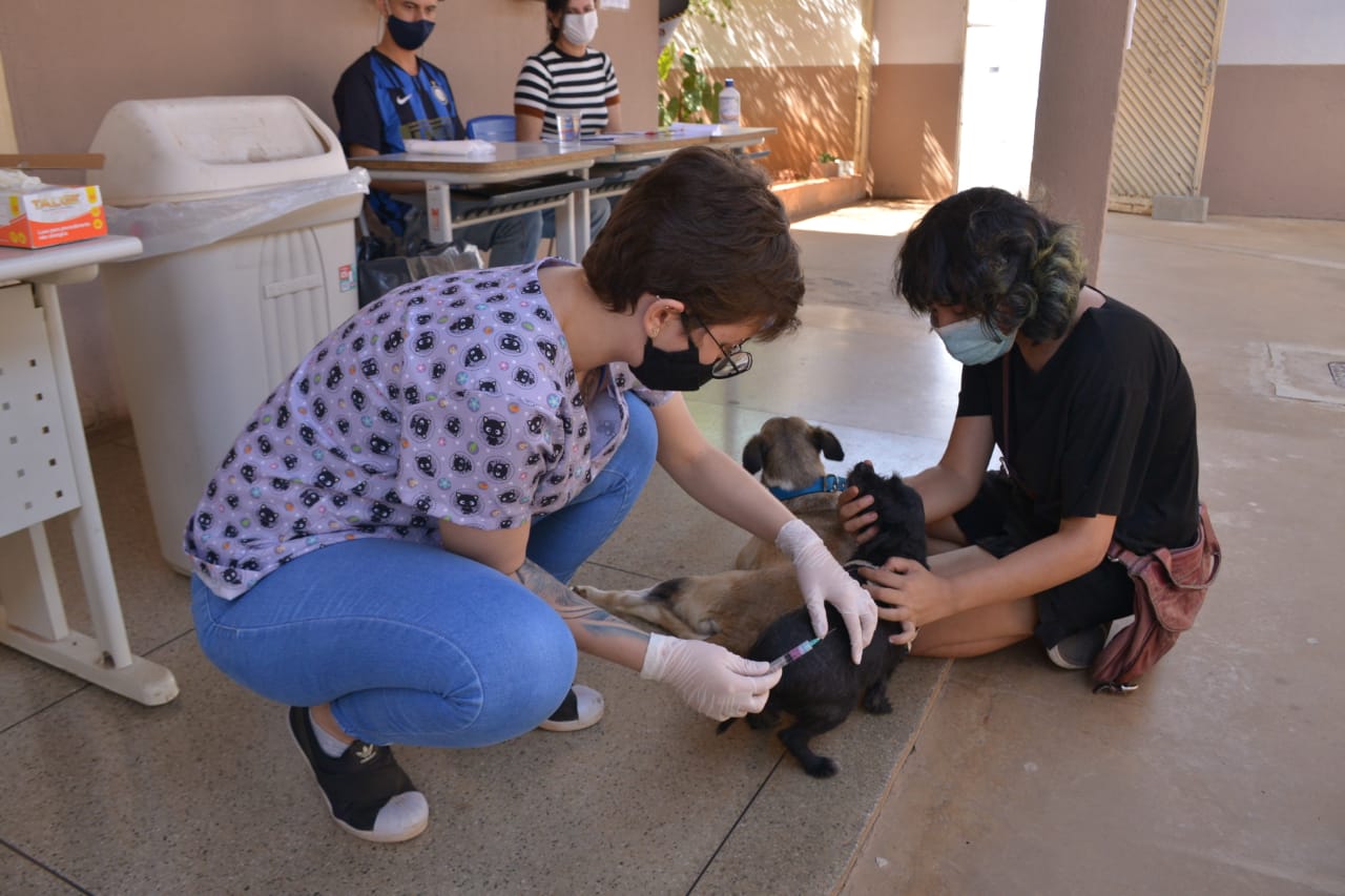 Saúde de Aparecida realiza Dia D da Vacinação Antirrábica em 51 postos