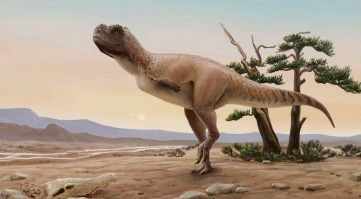 Nova espécie de dinossauro  carnívoro é descoberta em São Paulo