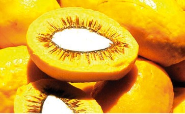 Pequi como anti-inflamatório e protetor solar