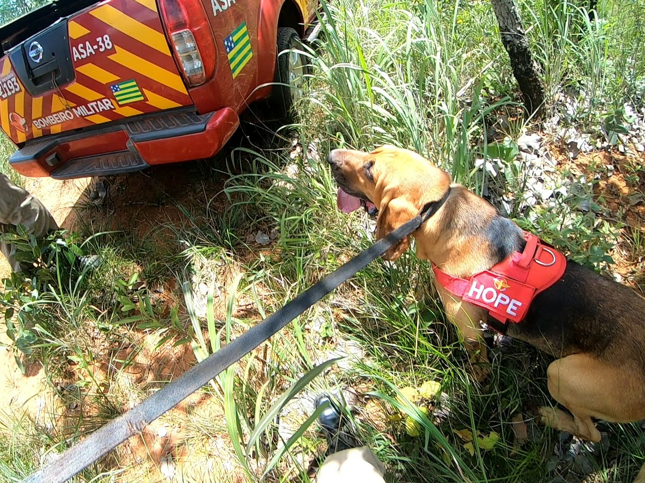 Equipes de cães dos Bombeiros encontram corpo de homem desaparecido