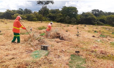 Prefeitura reforça limpeza no Cemitério Vale da Paz