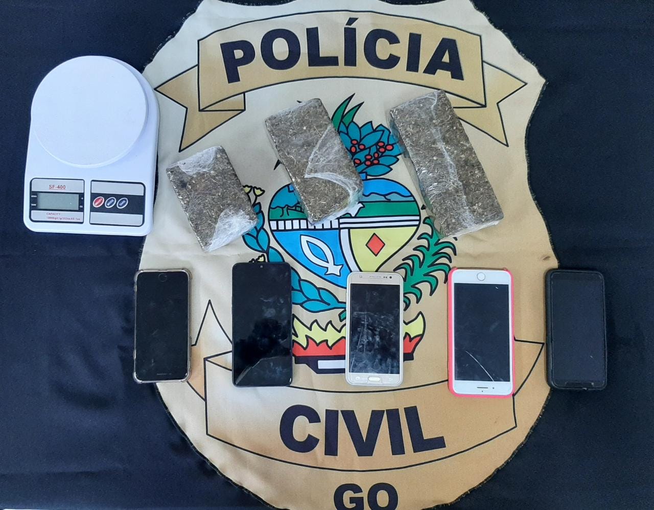 Suspeitos de fraudes na compra e revenda de gado são presos