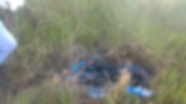 Mulher é encontrada carbonizada em Novo Gama