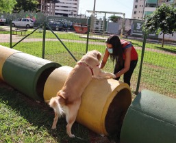 Prefeitura instala pet places nas praças do Ipê e Novo Horizonte