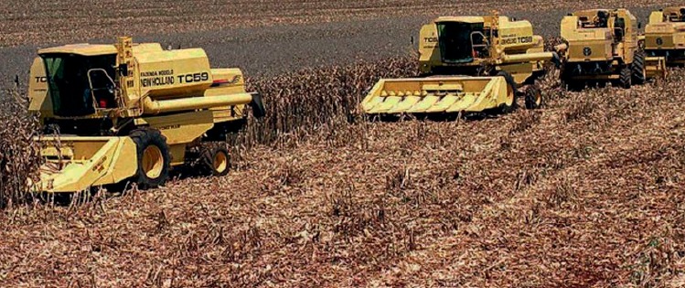 Conflito eleva em até 30%  preço dos fertilizantes