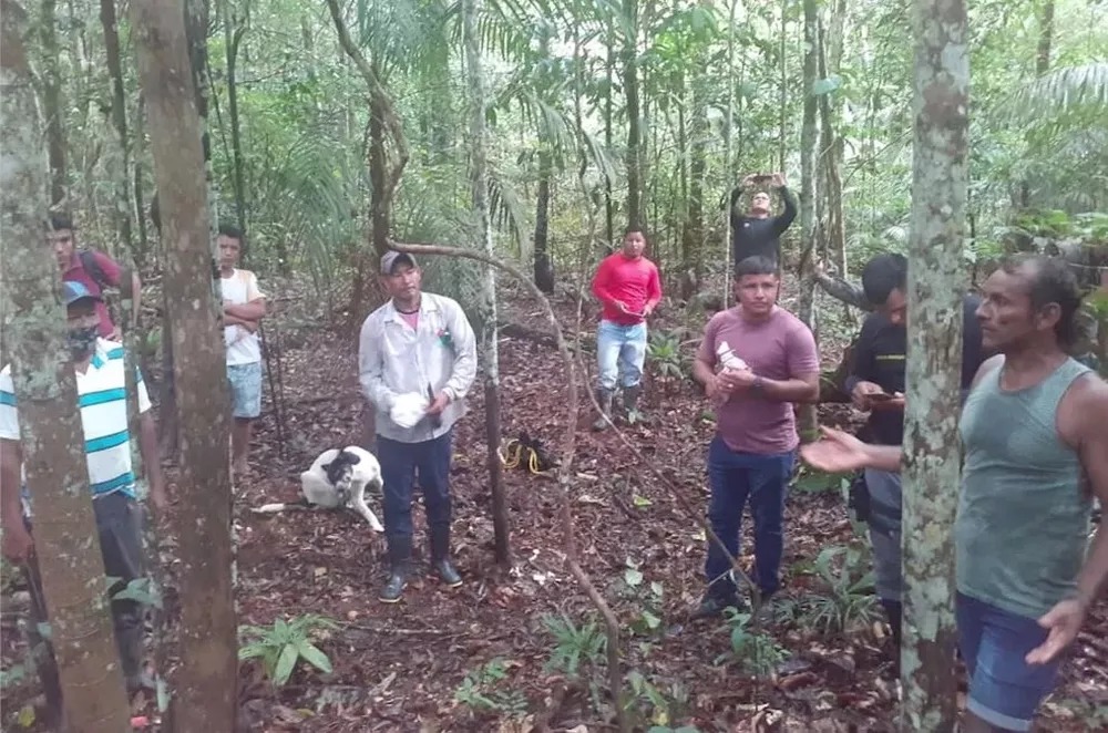Irmãos perdidos na floresta sobrevivem comendo fruta típica da Amazônia