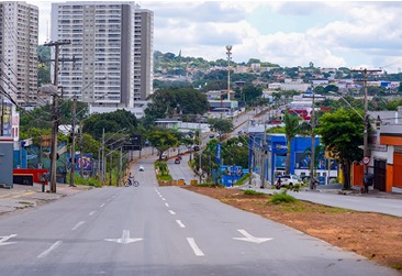 Prefeitura troca árvores  que quebravam asfalto da  Agrovia Castelo Branco