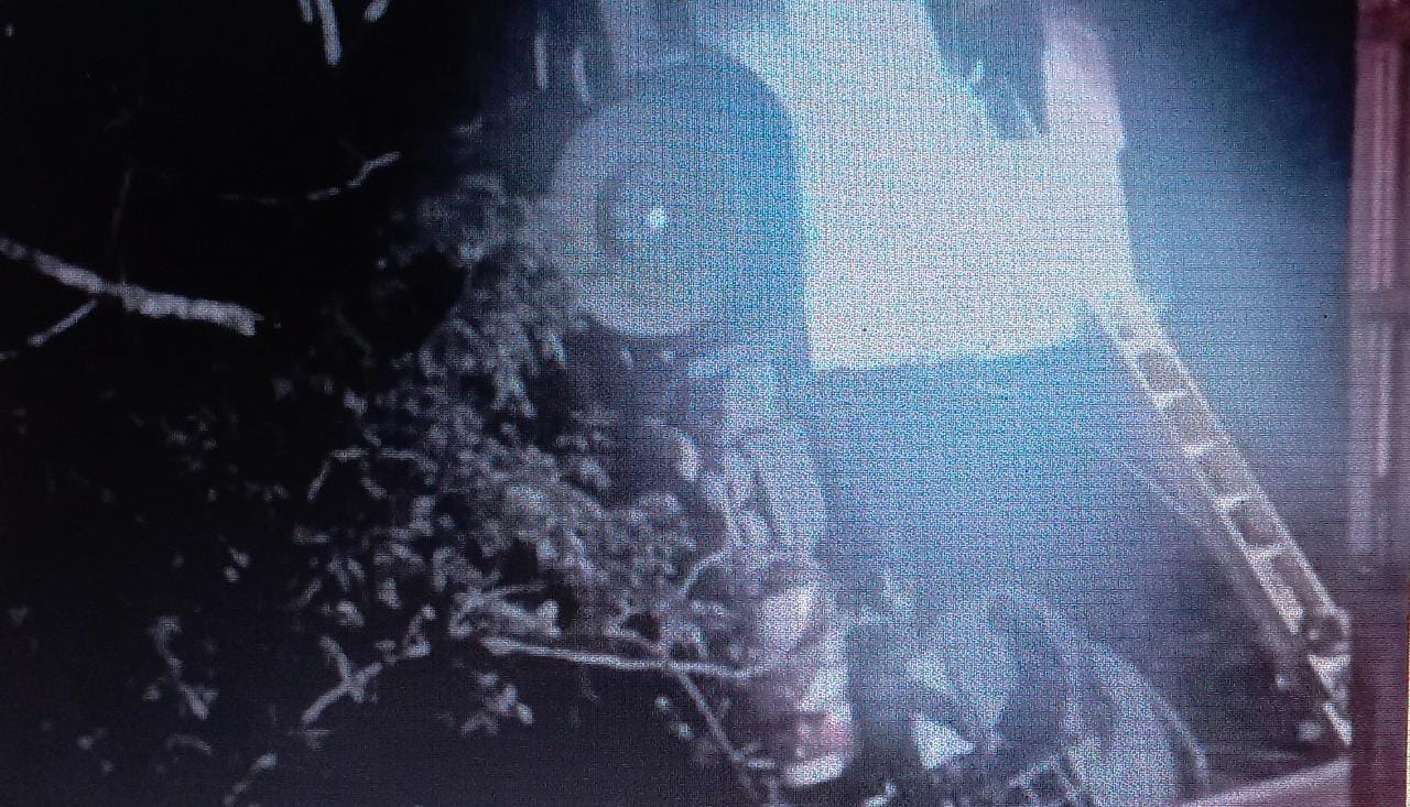 Homem é resgatado após carreta sair da pista e cair em ribanceira