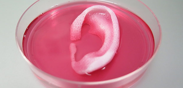 Bioimpressora produz partes do corpo humano em 3D