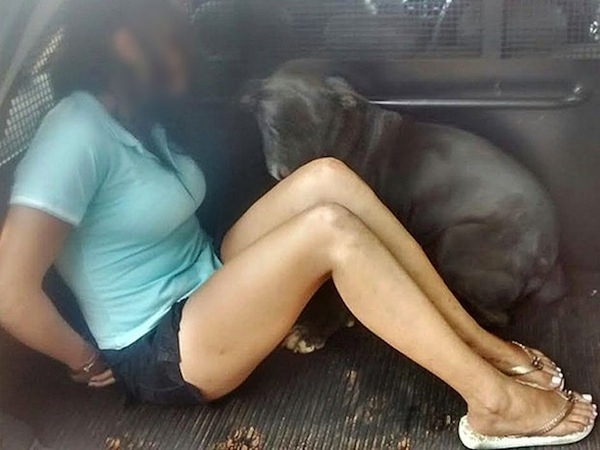 Cadela entra em viatura ao ver a dona ser presa por tráfico de drogas em MT