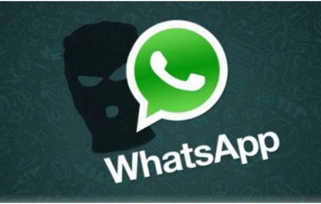 Vítima escapa de golpe pelo WhatsApp e estelionatário de Goiânia pergunta: ‘onde eu errei’?