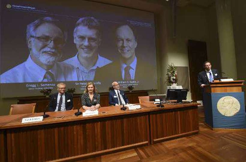 Nobel de Medicina premia estudo que permite atacar anemia e câncer