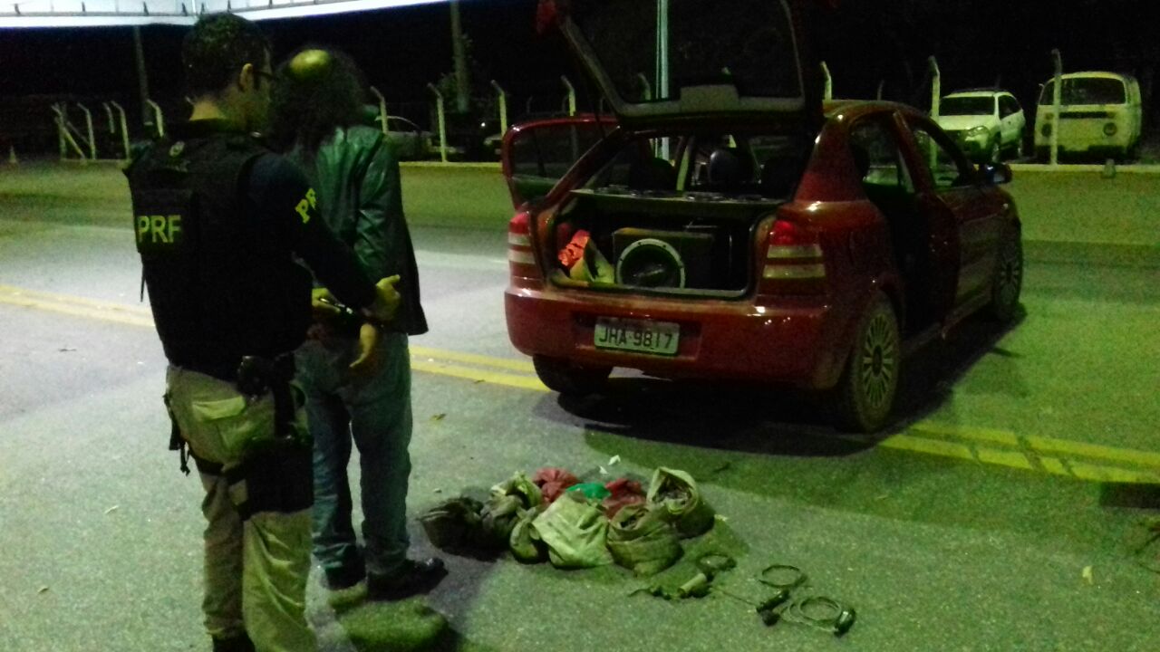Homem é preso por capturar centenas de animais silvestres
