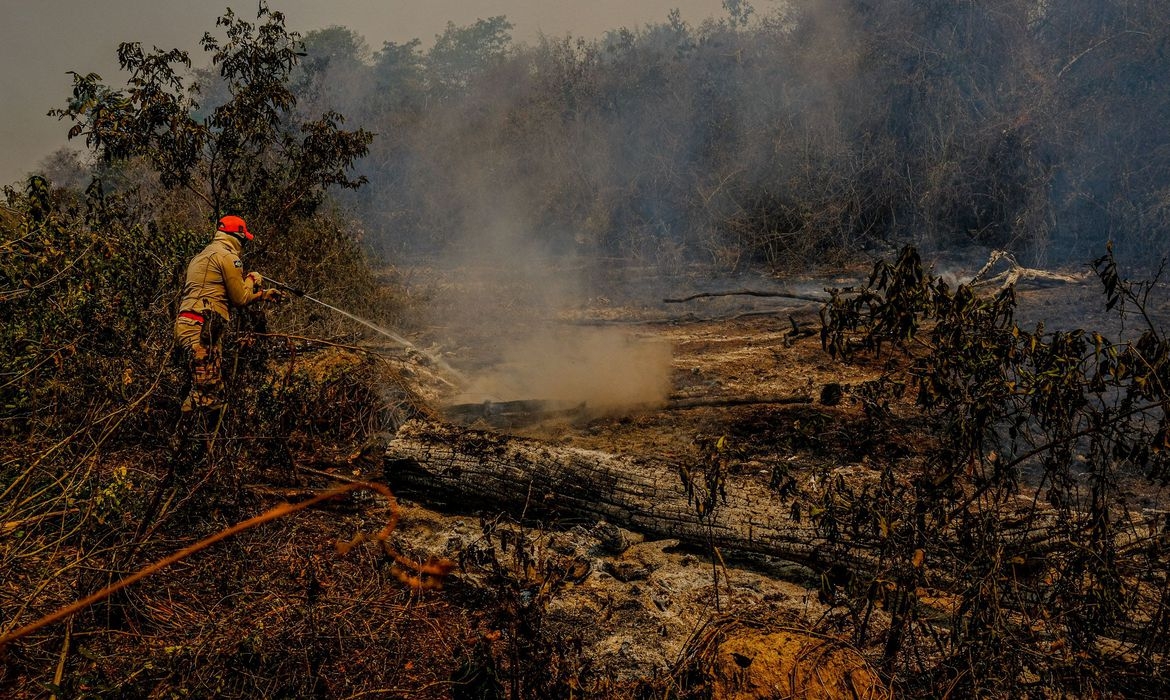 Ministério da Agricultura e Sebrae lançam programa contra queimadas no Pantanal