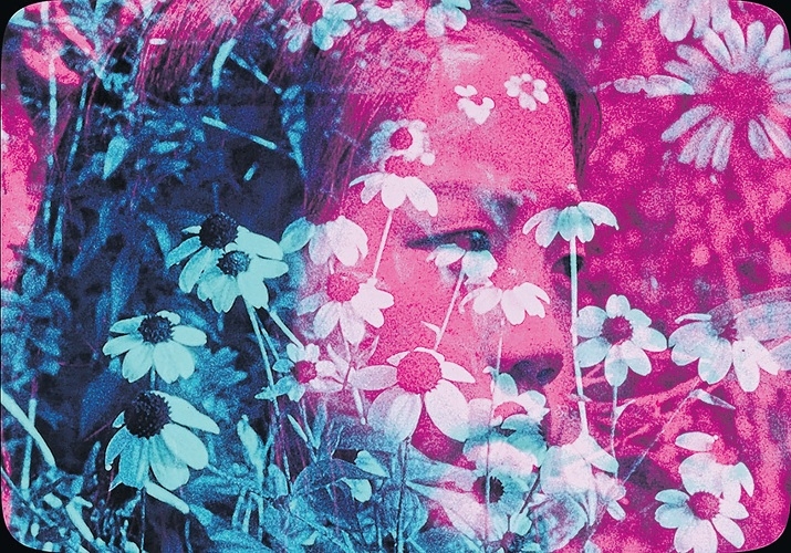 Walter porto almeida, plantador de arvores e livros