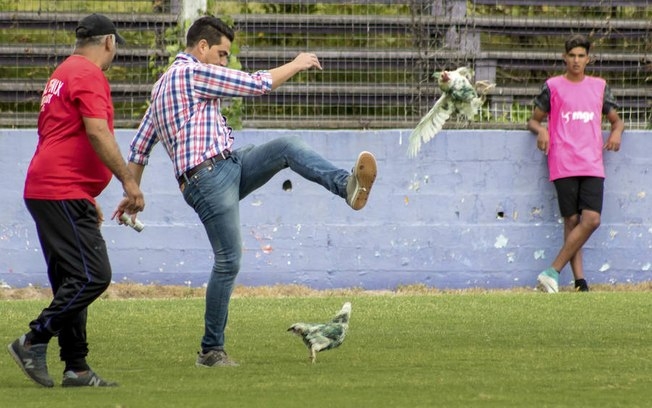 Time é punido após dirigente chutar galinha em campo