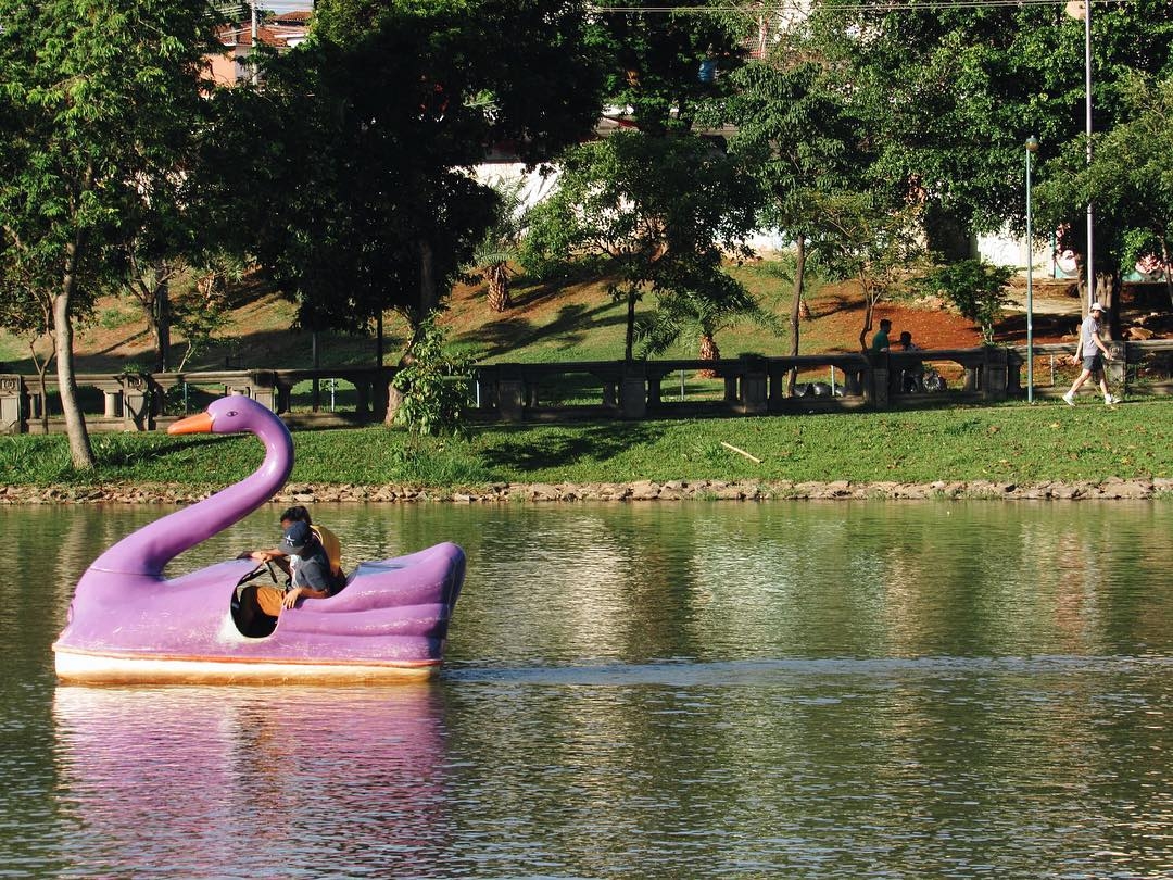 Pedalinhos do Lago das Rosas voltam a funcionar
