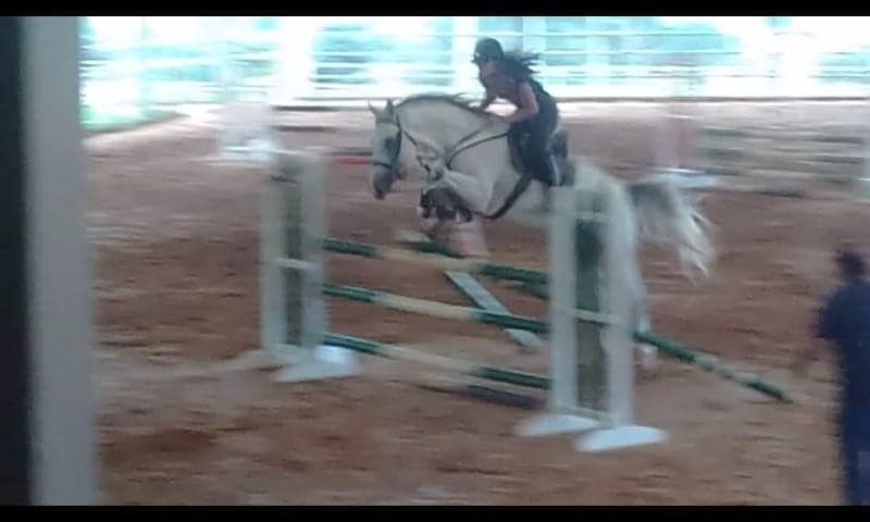 Criança cai de cavalo e é internada em estado grave