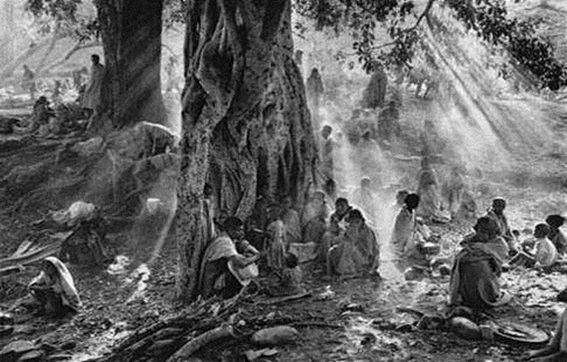O dinamismo da cultura e a teoria antropológica