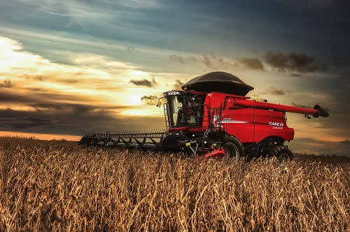 Agricultores apostam na soja em Goiás