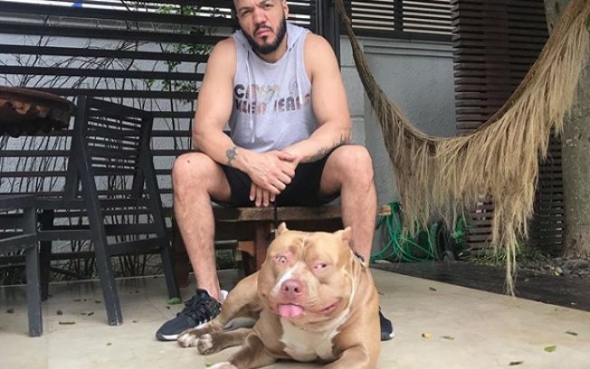 Belo cancela show após ser atacado por um de seus pitbulls