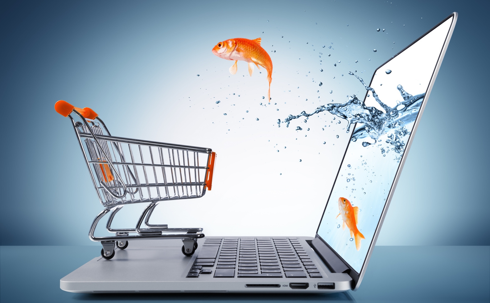 Por que abrir e-commerce pode alavancar a sua loja física
