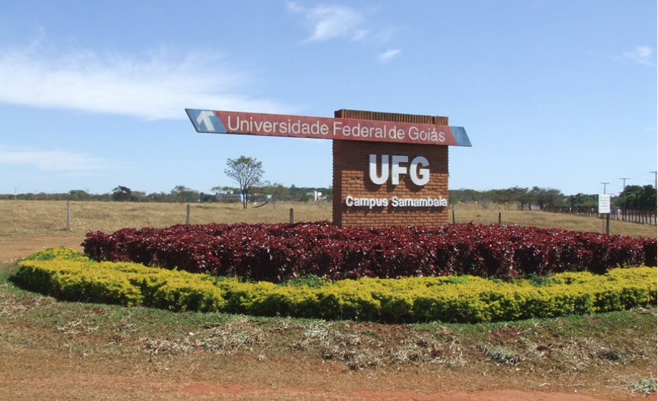 UFG está entre as 20 melhores instituições Sul-Americanas em Ciências da Terra e Ambientais