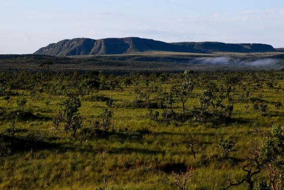 MPF cobra que Goiás apresente dados sobre ampliação de parque no Cerrado