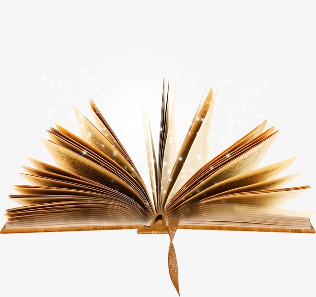 O livro de ouro da minha vida
