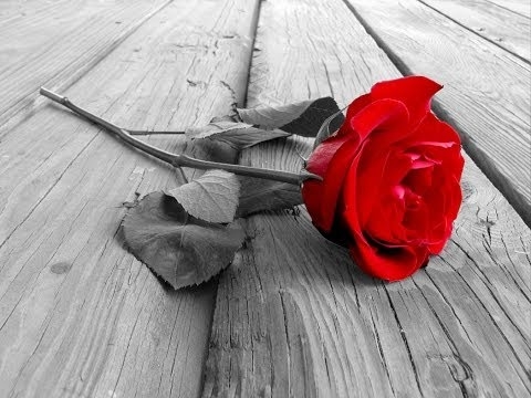 Descanse em paz