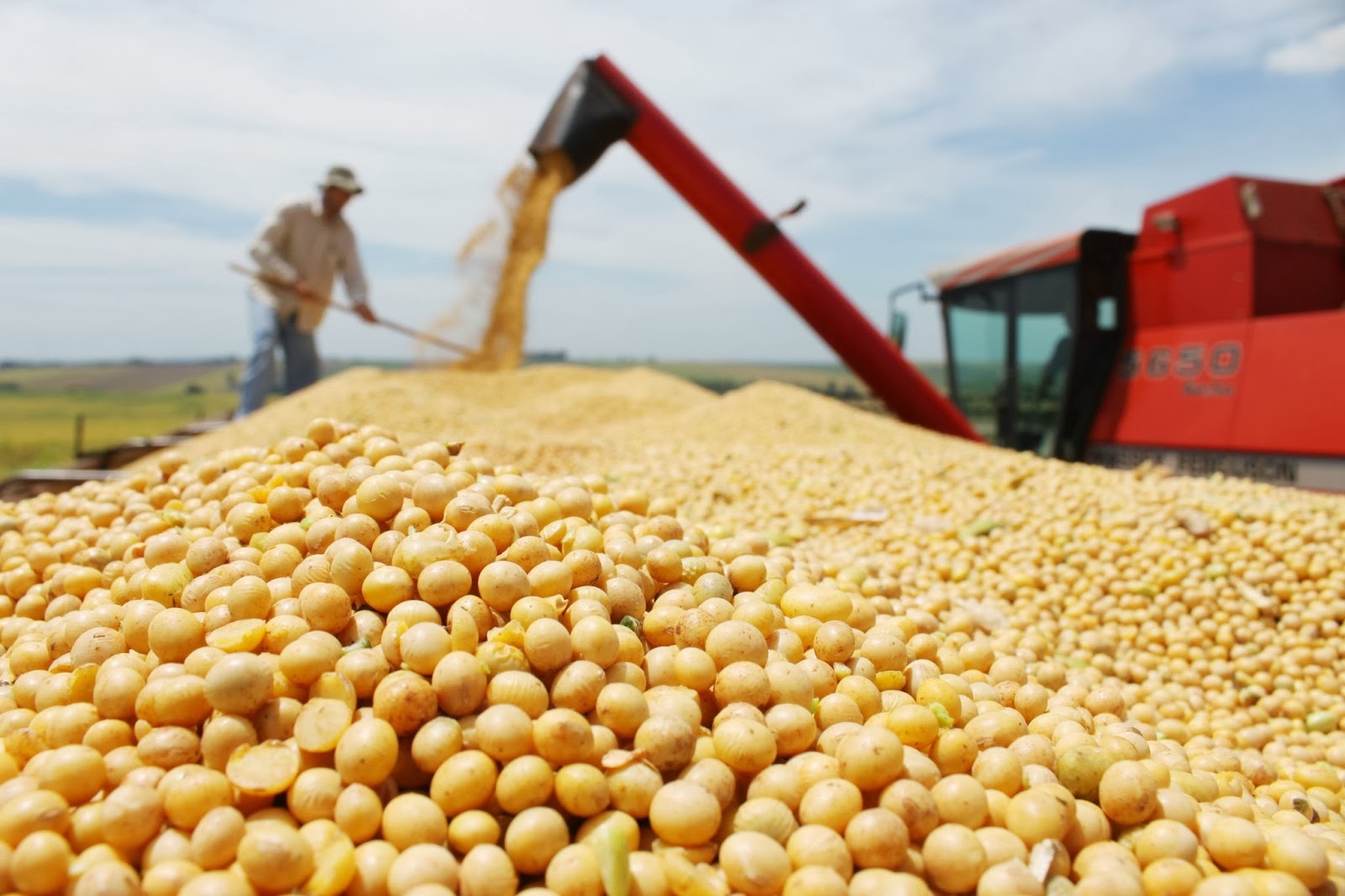 Produção de alimentos: novos patamares